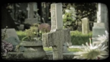 Fotoğrafını İtalyan mezar taşları ve çiçekler. Vintage stilize video klip.