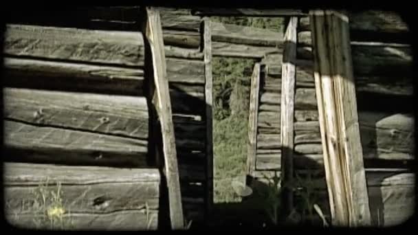 Powolny Zoom Powrotem Drzwi Opuszczony Starych Kabiny Odsłaniając Inne Drzwi — Wideo stockowe