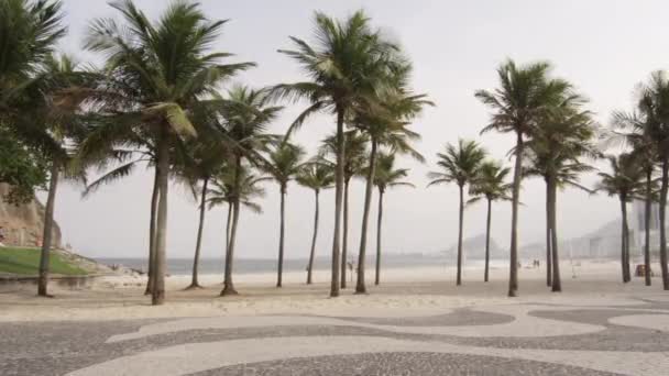 Stranden Rio Janeiro Med Höga Palmer — Stockvideo