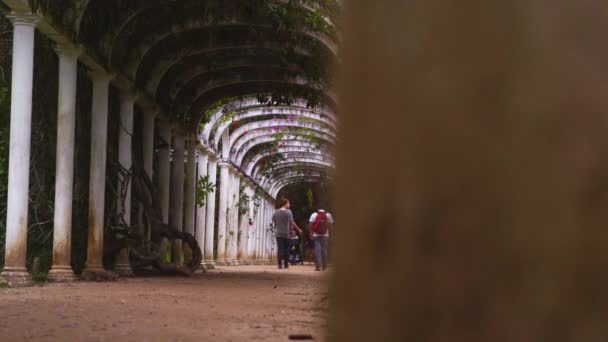 ブラジル ジャネイロの植物園で有名なアーチの下を歩くカップル — ストック動画