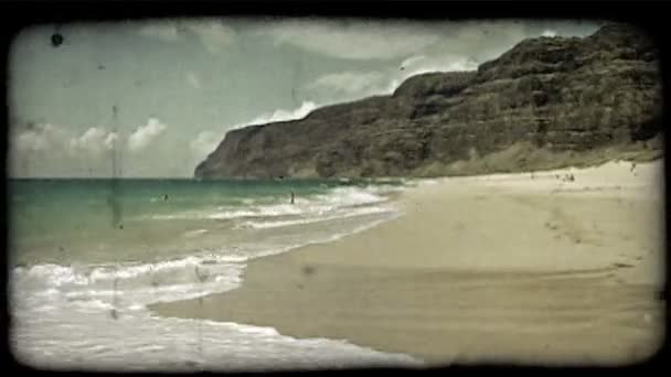 Belle Scène Plage Hawaï Détaillant Une Vaste Plage Sable Parsemée — Video