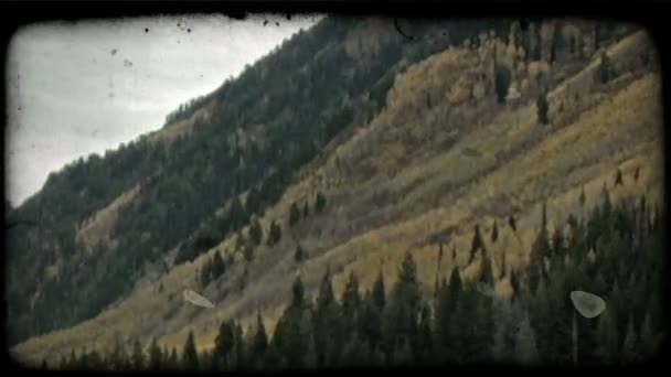 Pan Derecha Izquierda Ladera Montaña Cubierto Árboles Siempreverdes Otros Árboles — Vídeos de Stock