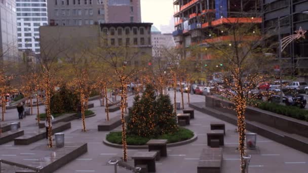 在纽约市用灯光装饰的树木的平移拍摄 他们放置在一个小系列长凳 在一个正方形的中间 — 图库视频影像