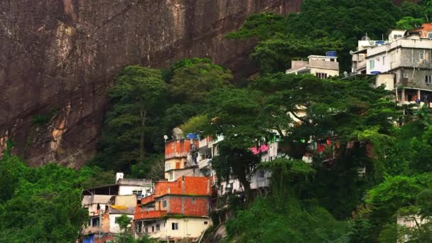 Panorámica Una Favela Largo Ladera Montaña Río Janeiro Brasil — Vídeo de stock