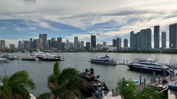 Aerial View Miami Skyline Flying Marina Palm Trees Florida — Vídeo de Stock
