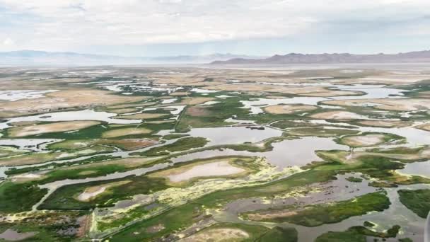 Flying Wetlands Farmington Bay Edge Great Salt Lake Looking Antelope — Stock video