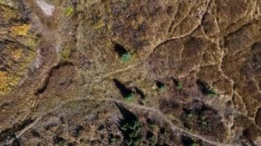 Yukarıdan aşağıya tepeden aşağıya, derenin yanındaki çimlerin arasından yavaşça uçan patikalara bakıyor..