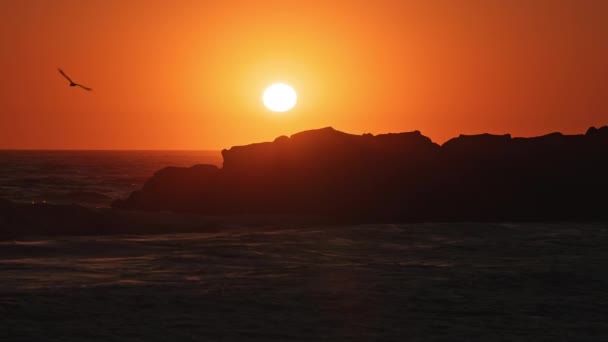 在加利福尼亚 在五彩缤纷的落日中 海鸥在天空中飞翔 在海浪冲撞下岩石时降落在岩石上 — 图库视频影像