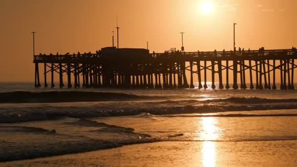 Хвилі Кружляють Пляжі Дивлячись Пірс Ньюпорт Біч Коли Сонце Світить — стокове відео
