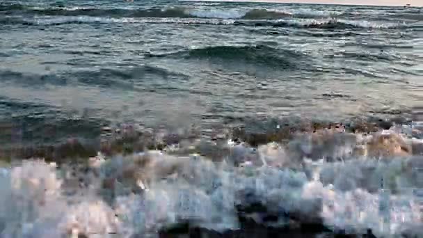 Las olas del mar. Playa de arena. — Vídeos de Stock