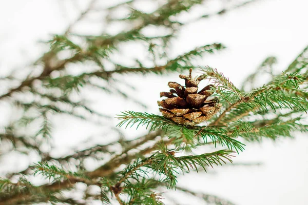 Handmade Christmas tree toys made of pine cone. Copyspace — Stock Photo, Image
