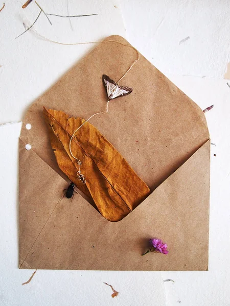 Sevgililer Günü Için Yaprak Kelebeği Çiçek Kartpostallı Kağıt Zarf Romantizmi — Stok fotoğraf