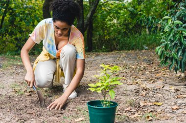 Afro saçlı genç bir kadın tarlada el küreğiyle toprağı temizliyor. Paraguay zambağı naklediyor. Sağ tarafta fotokopi alanı olan koruma kavramı..
