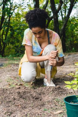 Afro saçlı genç esmer kız halka açık bir parkta ağaç dikmek için bir çukur kazıyor, dikey görüntü, doğa bakımı konsepti..
