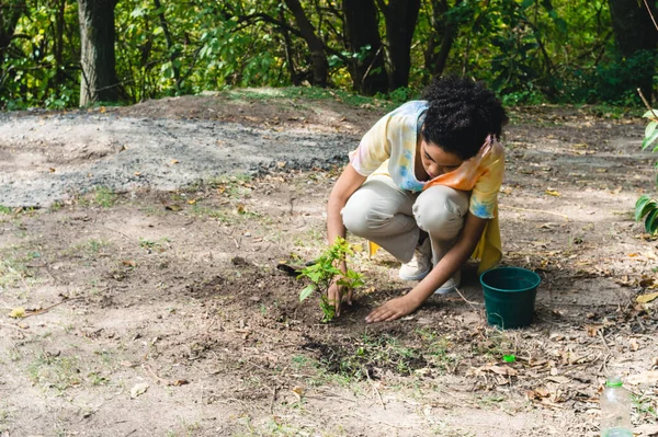 Genç afro kız elleriyle dışarıda çömelmiş parka ağaç dikmeyi bitirmiş, ağaç nakletmiş, Dünya 'nın yenilenmesi ile işbirliği yapmış..