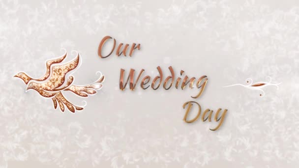 金のパターン結婚式の映画スクリーンセーバー — ストック動画