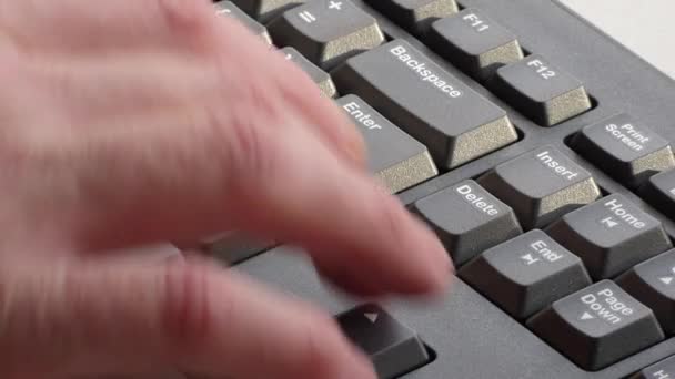 在键盘上打字的人在电脑键盘上工作 — 图库视频影像