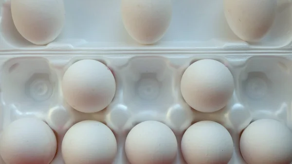 Eggs Row White Packaging — Stock Photo, Image