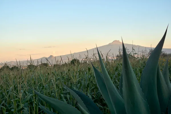 Малінче Мексиканський Вулкан Штаті Тлакскала — стокове фото
