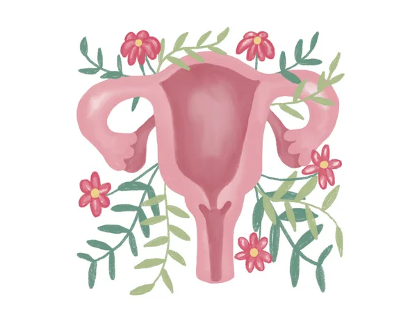 Cute Hand Drawn Watercolor Illustration Female Reproductive System Flowers Feminine — Stock fotografie
