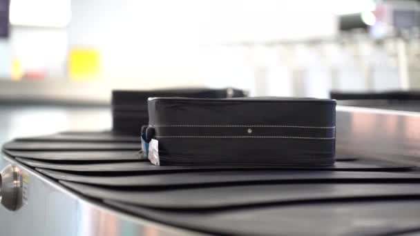 Αποσκευές Που Κινούνται Στο Αεροδρόμιο Ζώνη Μεταφορέα — Αρχείο Βίντεο