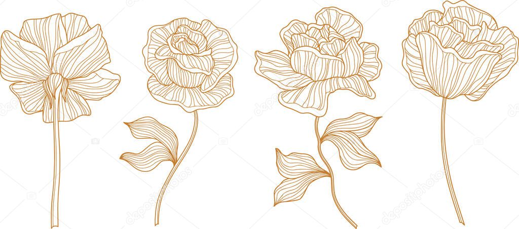 Rose flowers and leaves  isolated on white. Hand drawn line vector illustration. Eps 10