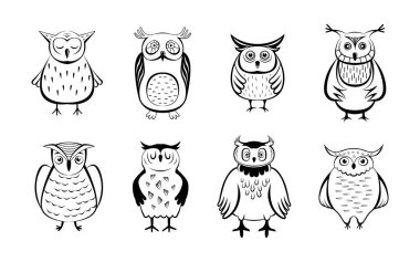 Sevimli baykuşlar. Elle çizilmiş vektör koleksiyonu. Çizimler ayarlandı.