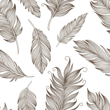 Vektör tüyü deseni. El çizimi renk çizimi. Vektör 10 EPS.