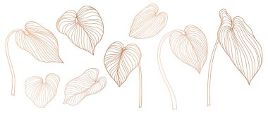 Beyazın üstünde tropik yapraklar. El çizimi vektör illüstrasyonu 