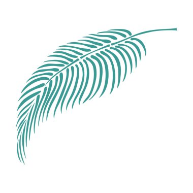 Yaprak beyazda yalıtılmış. Tropikal yaprak. El çizimi vektör illüstrasyonu.