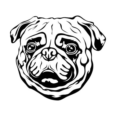 Pug 'ın siyah beyaz yüzü. Vektör illüstrasyon dövme sanatı