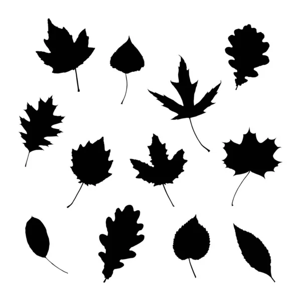 27,893,515 Alphabet leaves Vector Images Depositphotos