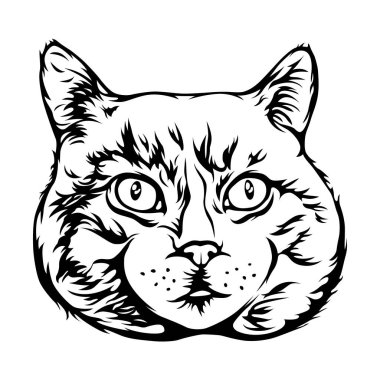 Vektör kedi çizimi izole etti. Beyaz arkaplan resminde siyah renk.