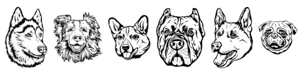 Cara Dibujada Mano Perros Arte Mascota Ilustración Vector Blanco Negro — Archivo Imágenes Vectoriales