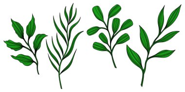 Soyut yaprak tasviri. Çizgi vektör sanatı