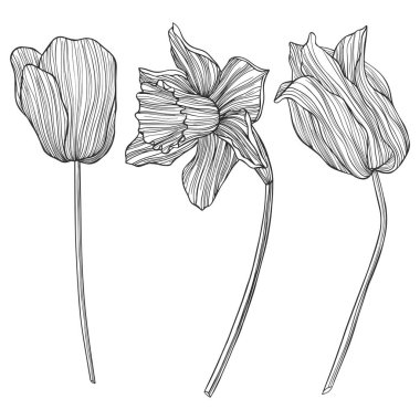 Soyut çiçeklerin tasviri. Çizgi vektör sanatı