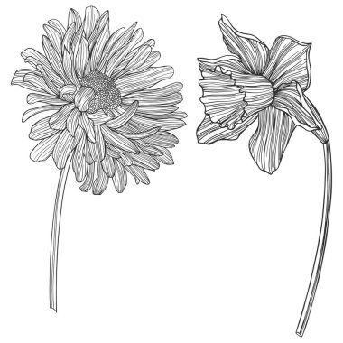 Soyut çiçeklerin tasviri. Çizgi vektör sanatı