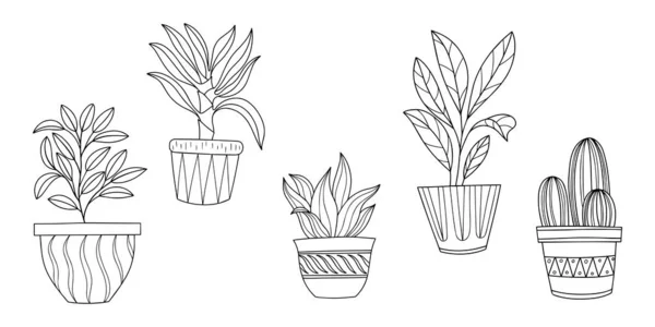 Ручной Рисунок Коллекция Плантаций Векторные Внутренние Растения Горшках Набор Векторных — стоковый вектор
