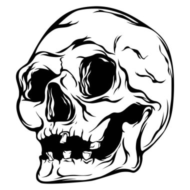 Elle çizilmiş insan kafatası beyaza izole edilmiş. Işık arkaplanındaki izole vektör