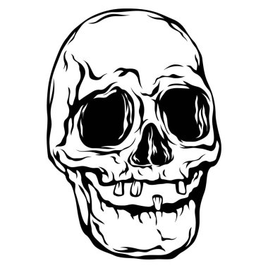 Elle çizilmiş insan kafatası beyaza izole edilmiş. Işık arkaplanındaki izole vektör