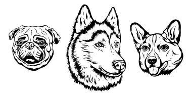 Köpeklerin el çizimi yüzü. Siyah ve beyaz vektör illüstrasyon maskot sanatı