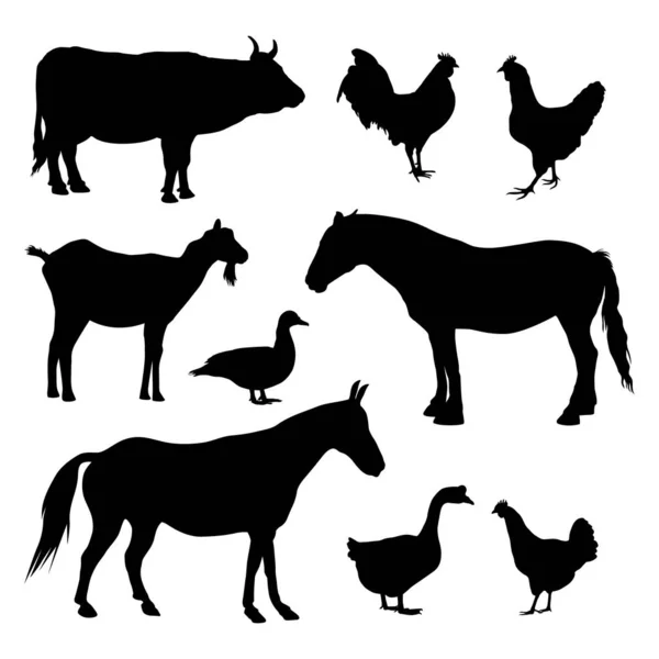 Siluetas Animales Granja Recogida Ganado Doméstico Conjunto Ilustración Vectorial Aislado — Vector de stock