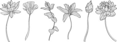 Beyaza izole edilmiş soyut çiçekler. El çizimi vektör çizimi. Eps 10