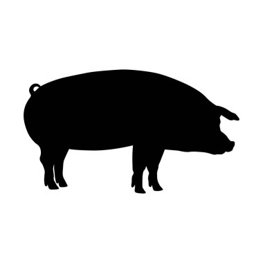 Pig silhouette. Domestic cattle. Vector illustration isolated on white.