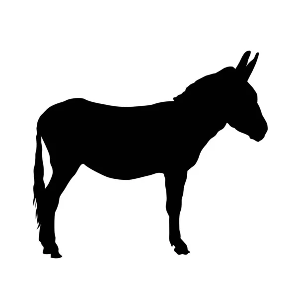 Donkey Silhouette Domestic Cattle Vector Illustration Isolated White — Vector de stock