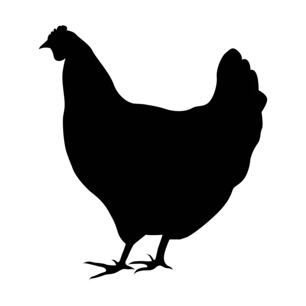 Hen Silhouette Domestic Cattle Chicken Vector Illustration Isolated White — Vetor de Stock