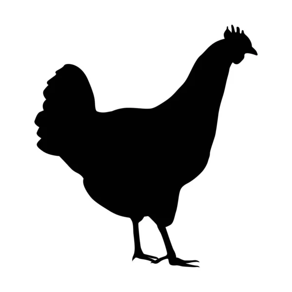 Hen Silhouette Domestic Cattle Chicken Vector Illustration Isolated White — Stock Vector