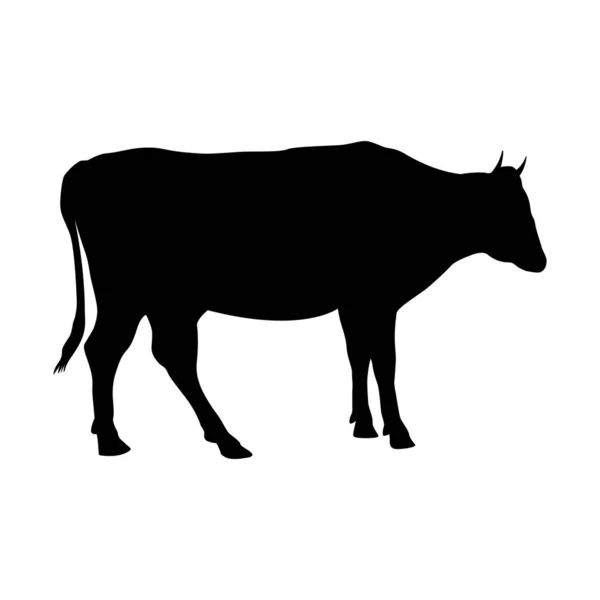 Cow Silhouette Domestic Cattle Vector Illustration Isolated White — 스톡 벡터