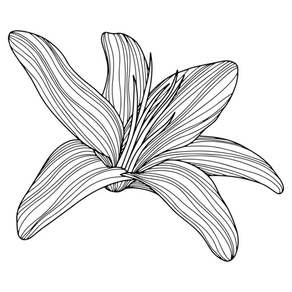 Flower Isolated White Hand Drawn Sketch Vector Flower Illustration Eps — Archivo Imágenes Vectoriales