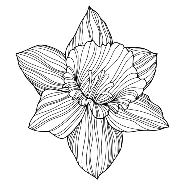 Flower Isolated White Hand Drawn Sketch Vector Flower Illustration Eps — Vector de stock